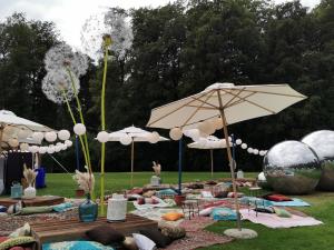 Altholz Loungetisch 1